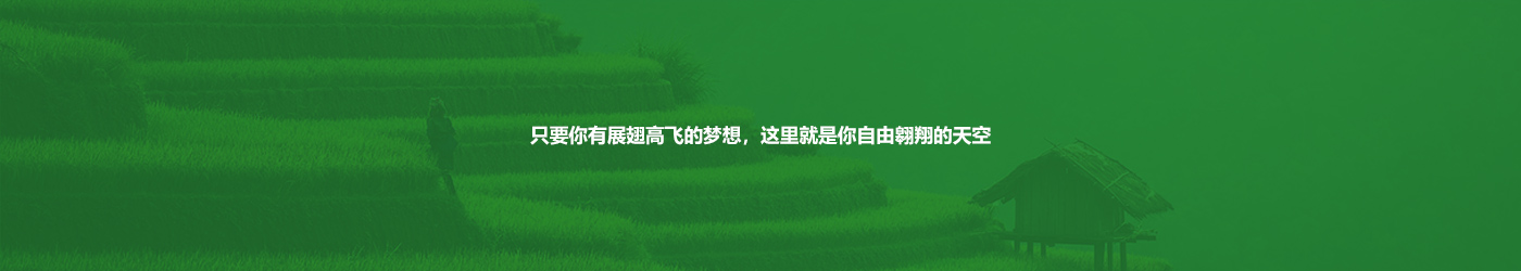 首页|bifa必发集团中国官方网站