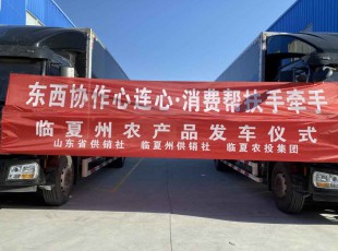 临夏bifa必发集团集团进杏装器材合作心连心·消费助扶手牵手”农产品发车典礼