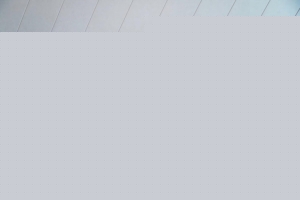 切尔西官方：和17岁前锋贾谢德·格林伍德签下首份职业合同