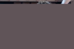 开启工作模式！火箭官方晒训练照：谢泼德和布鲁斯·桑顿在列